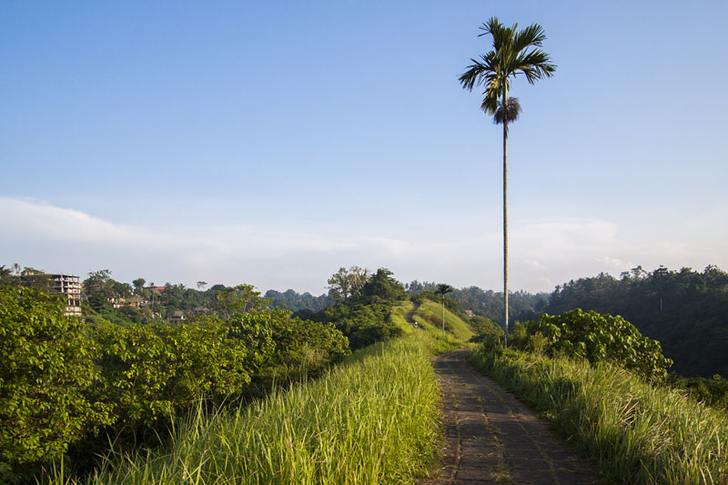 early morning at Tjampuhan Ridge