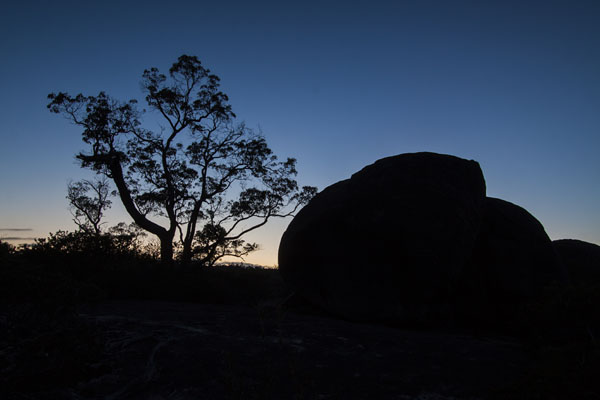 silhouettes just before sunrise