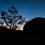 silhouettes just before sunrise