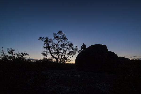 self-portrait at dawn