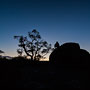 self-portrait at dawn
