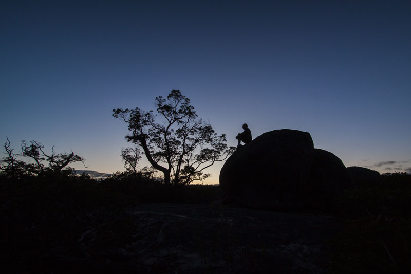 self-portrait at dawn