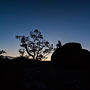 self-portrait at dawn