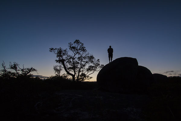 self-portrait at dawn