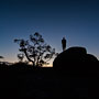 self-portrait at dawn