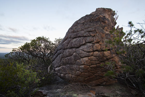 cool textures on the back of Dog Rock