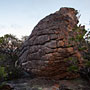 cool textures on the back of Dog Rock