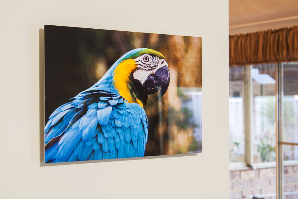 the metal print hanging on the wall