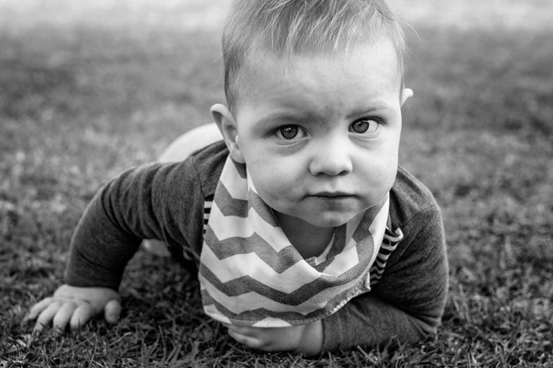 enjoying the back yard