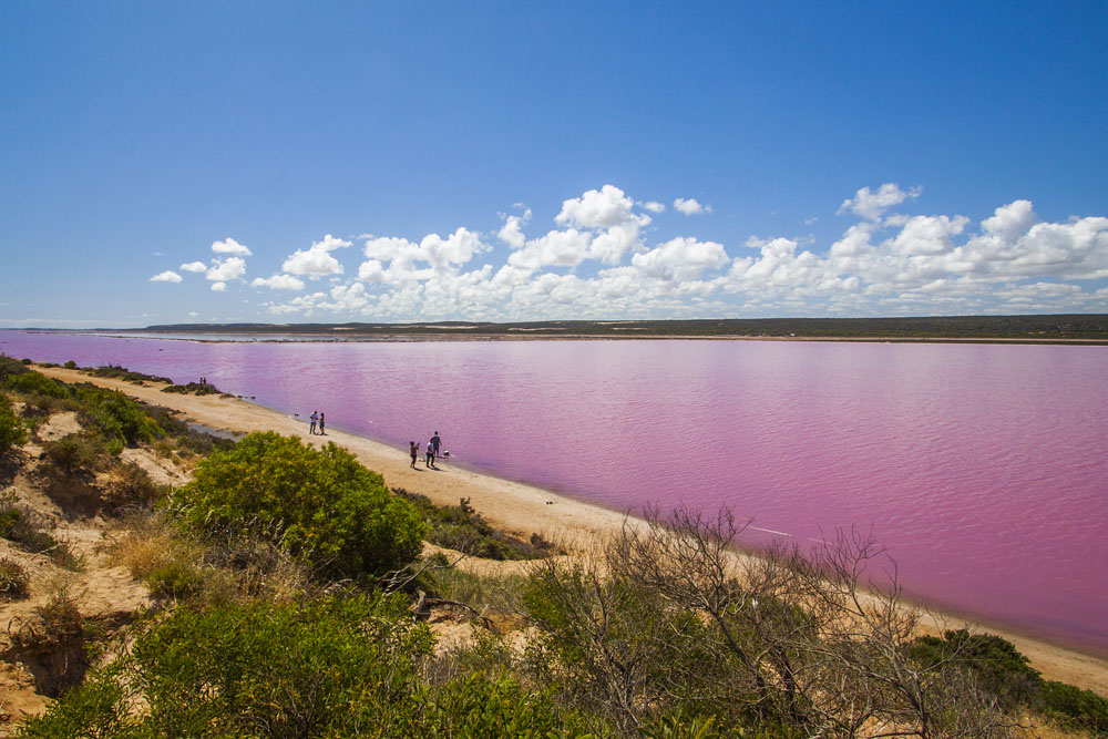 the Pink Lake is certainly pink!