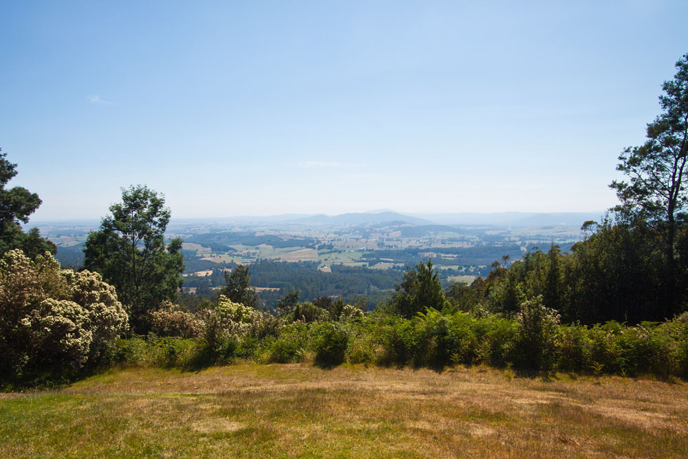 the view