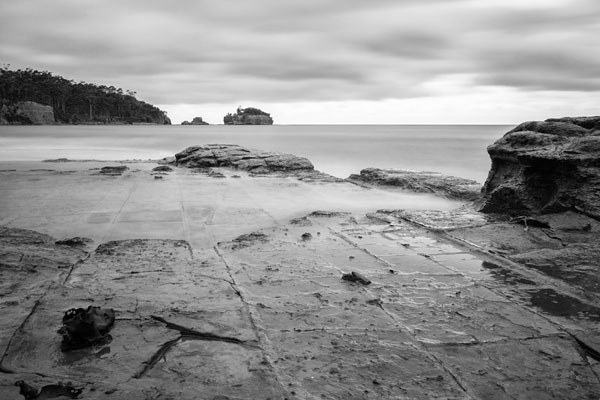 Tessellated Pavement in black and white