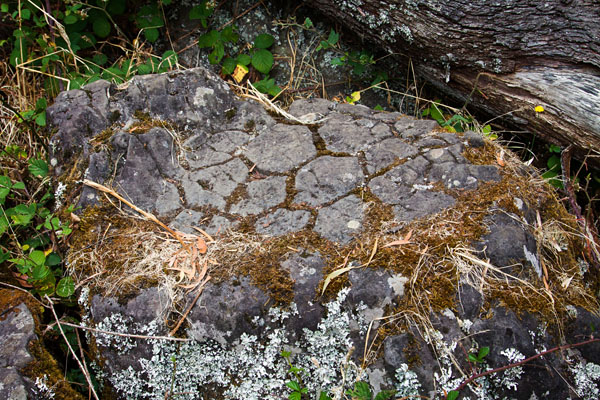 rocks at Guide Falls