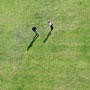 photos from Kite Aerial Photography sessions