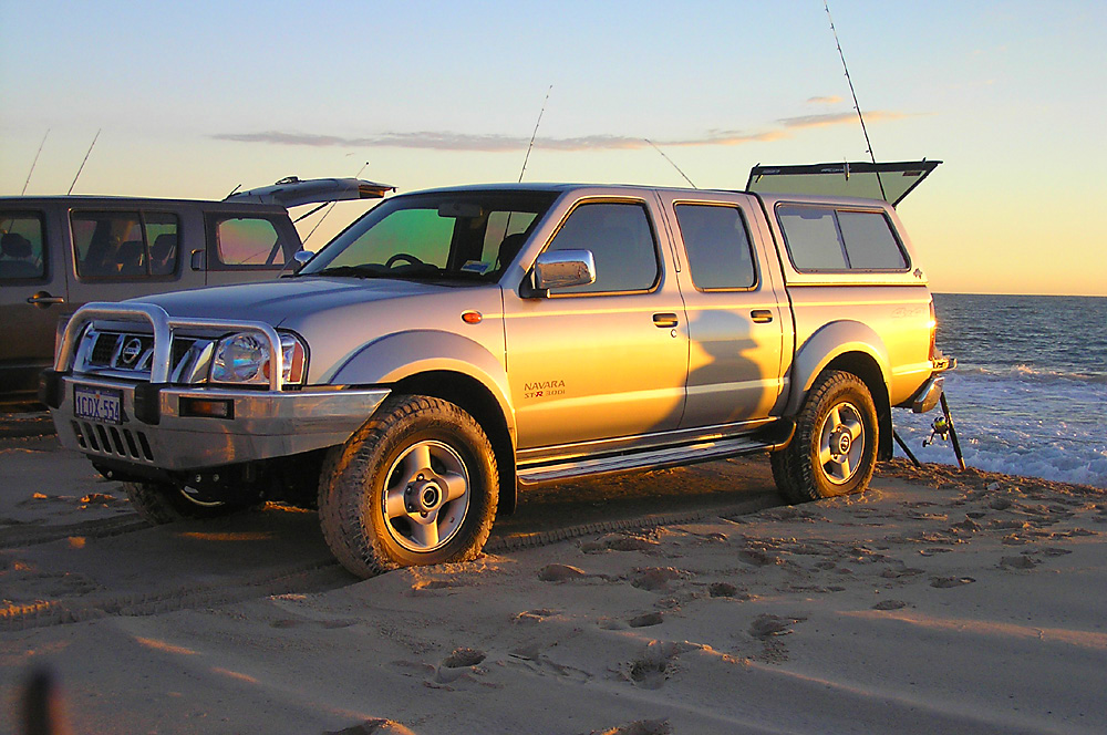 Wayne's Navara
