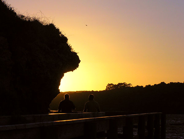 Dawn silhouettes